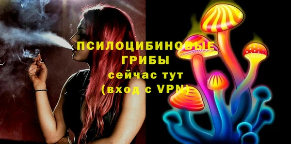 МДПВ Арсеньев