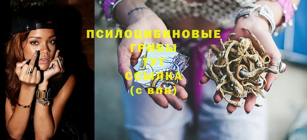 apvp Алексин