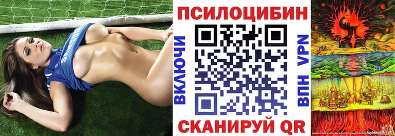 Псилоцибиновые грибы Psilocybine cubensis  Купить закладки  Узловая 